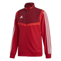 adidas Herren Präsentationsjacke TIRO 19