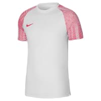 Nike Herren Trikot Dri-FIT Academy Jersey SS DH8031