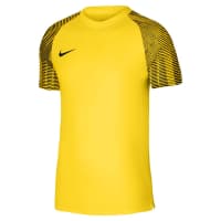 Nike Herren Trikot Dri-FIT Academy Jersey SS DH8031