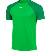 Nike Herren Trainingsshirt Academy Pro Dri-Fit SS Top DH9225