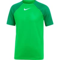 Nike Kinder Trainingsshirt Academy Pro Dri-Fit SS Top DH9277