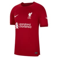 Nike Herren Trikot FC Liverpool 2022/23 Stadium Home DM1843