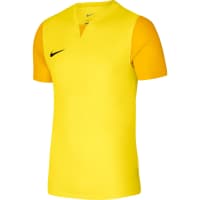Nike Kinder Trikot Dri-FIT Trophy 5 Jersey DR0942