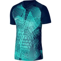 Nike Herren Trikot Dri-FIT Precision 6 Jersey DR0944