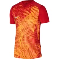 Nike Herren Trikot Dri-FIT Precision 6 Jersey DR0944