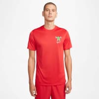 Nike Herren Trainingsshirt Dri-FIT Train Tee DX0979