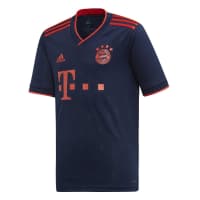 adidas FC Bayern München 201819 Trainingshose Utility IvyRot adidas FC Bayern München 201819 Trainingshose Utility IvyRot