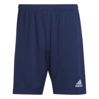 adidas Herren Short Entrada 22 Training Shorts