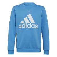 adidas Jungen Pullover Essentials Big Logo Sweatshirt