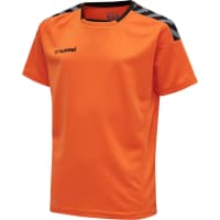 Hummel Kinder Trikot Authentic Poly Jersey 204920