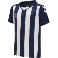 Hummel Kinder Trikot hmlCore XK Striped s/s Jersey 212642