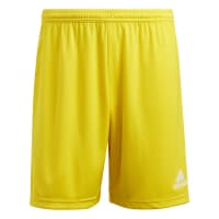 Herren-Shorts Varianten vielen - den Shorts für Teamsport in