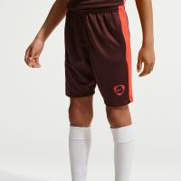 Nike Kinder Short Academy+ Dri-Fit Shorts IO7320