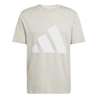 adidas Herren T-Shirt Big Logo SJ Tee