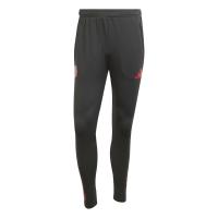 adidas Herren FC Bayern München Trainingshose 2025/26 EU TR PNT