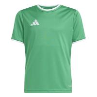adidas Kinder Trikot Entrada 26 Jersey Y