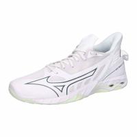 Mizuno Damen Hallenschuhe WAVE MIRAGE 5 X1GB2350