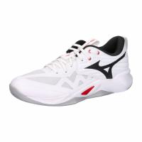 Mizuno Unisex Hallenschuhe WAVE MOMENTUM PRO V1GA2540