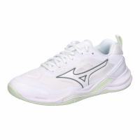 Mizuno Damen Handballschuhe WAVE STEALTH ELITE X1GB2660