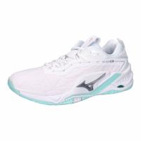 Mizuno Damen Hallenschuhe WAVE STEALTH NEO 2 X1GB2401