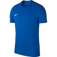 Nike Herren Trainingsshirt Academy 18 Top SS 893693