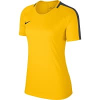 Nike Damen Trainingsshirt Academy 18 Top SS 893741