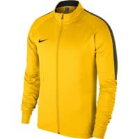 Nike Kinder Trainingsjacke Academy 18 Track Jacket K 893751