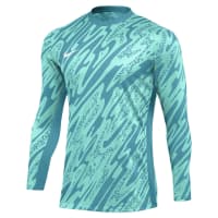 Nike Herren Torwarttrikot Dri-FIT Gardien V GK FD7474