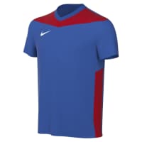 Nike Kinder Trikot Dri-FIT Park Derby IV FD7438