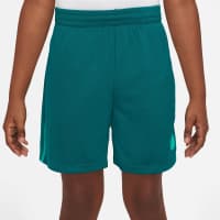 Nike Jungen Short Big Kids Dri-FIT Graphic Training Shorts DX5361