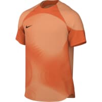 Nike Herren Torwarttrikot Dri-FIT ADV Gardien IV DH7760