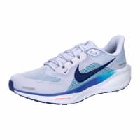 Nike Herren Laufschuhe Air Zoom Pegasus 41 FD2722