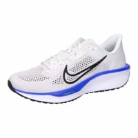 Nike Herren Laufschuhe Quest 6 FD6033