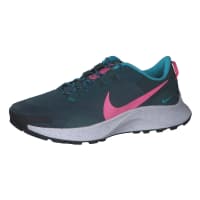 Nike Damen Trail Running Schuhe Pegasus Trail 3 DA8698