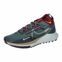 Nike Herren Trail Running Schuhe Pegasus Trail 4 GORE-TEX DJ7926