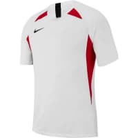 Nike Herren Trikot Legend AJ0998