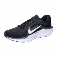 Nike Herren Laufschuhe Winflo 11 FJ9509