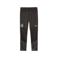 Puma Herren Borussia Dortmund Trainingshose BVB Pants 771834