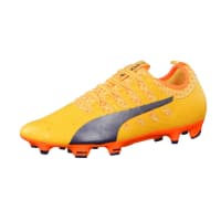 Puma Herren Fussballschuhe evoPOWER Vigor 2 FG 103954