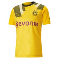 Puma Herren Borussia Dortmund Third Trikot 2022/23 765885