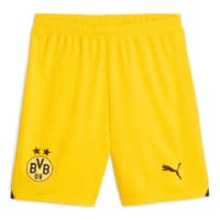 Puma Herren Short BVB Training Shorts 770636