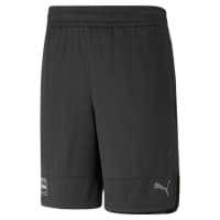 Puma Herren Short Fit Ultrabreathe 5  Q2 Short 523117