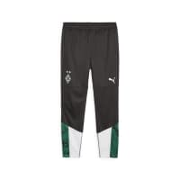 Puma Herren Trainingshose BMG Training Pants 774324