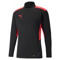 Puma Herren Langarmshirt individualCUP Training 1/4 Zip 657544