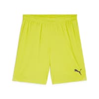 Puma Herren Short teamGOAL Shorts 705752