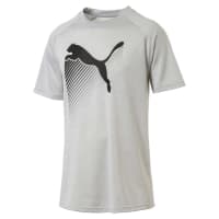 Puma Herren Trainingsshirt The Cat Heather Tee 517348