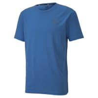 Puma Herren Trainingsshirt Energy SS Tee 517318