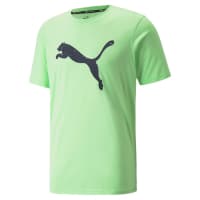 Puma Herren T-Shirt TRAIN FAV HEATHER CAT SS TEE 520139