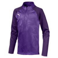 Puma Kinder Pullover Cup Training 1/4 Zip Core Jr 656019