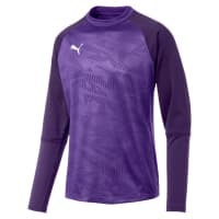 Puma Herren Pullover Cup Training Sweat Core 656021